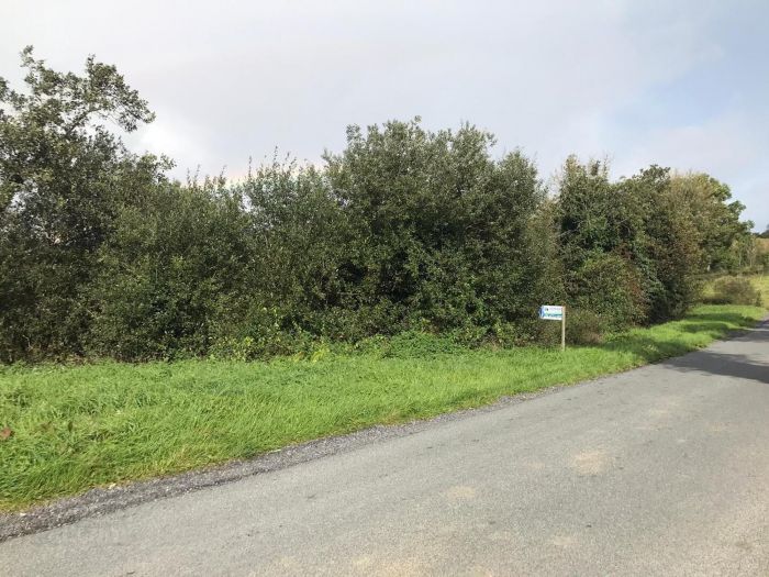 Derrygannon, Rosslea, Roslea, BT92 7NH