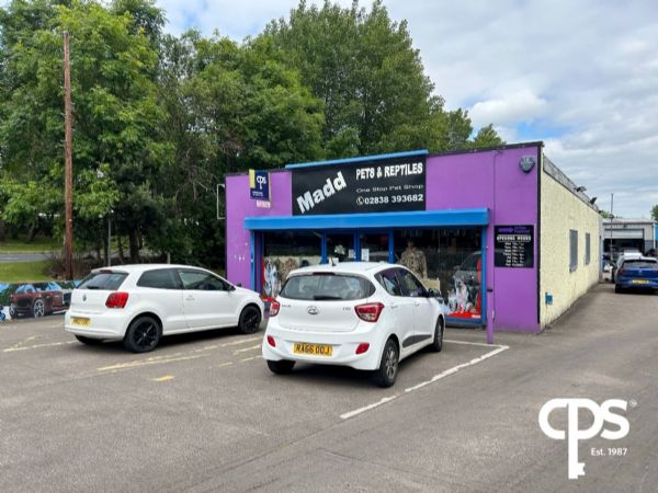 Madd Pets And Reptiles, Portadown, BT62 3SB