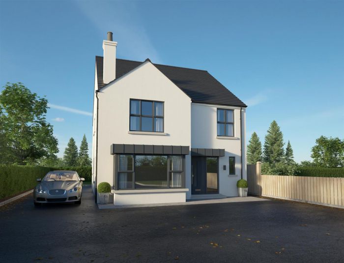 30M E Of Moneycannon Park Moneycanon Road, Donemana, BT82 0QA
