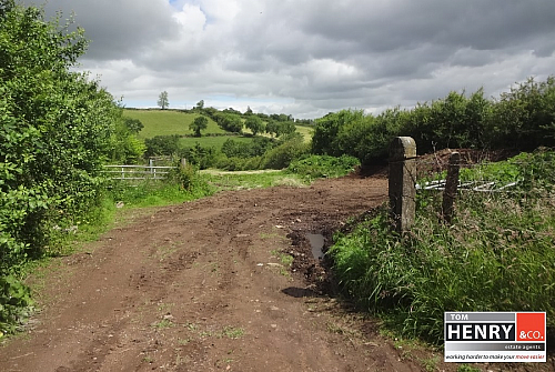 Lands To Rear Of Clarkes Yard, Killyneill Road, Dungannon, BT71 6LL