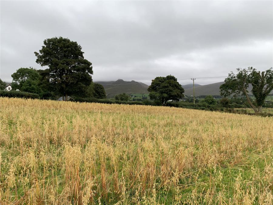 Kilkeel Road, Hilltown, Newry, BT34 5XZ