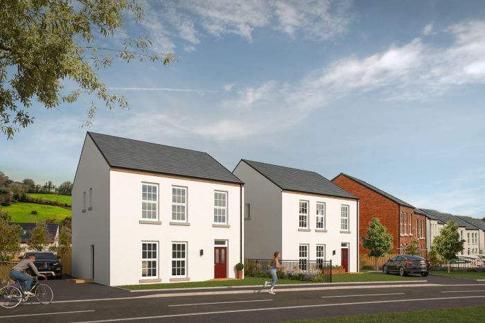 The Carnation The Hillocks, Altnagelvin, Derry / Londonderry, BT47 3FS