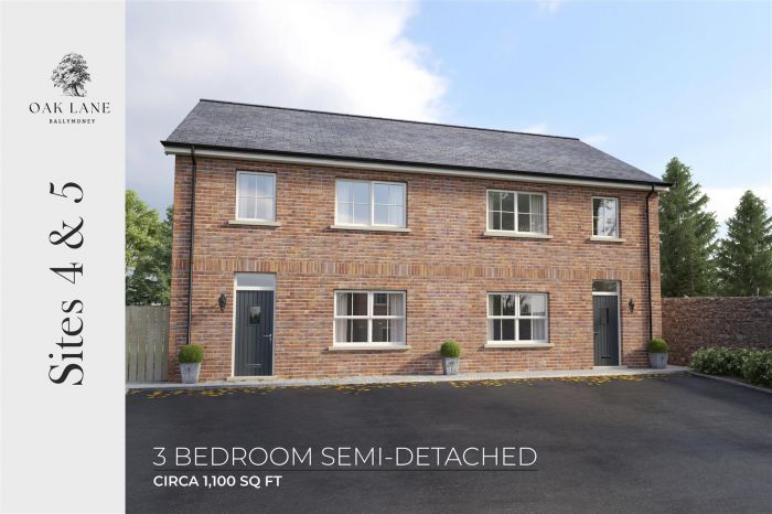 Site 4, (House Type 1) Oak Lane, Market Street, Ballymoney, BT53 6RH