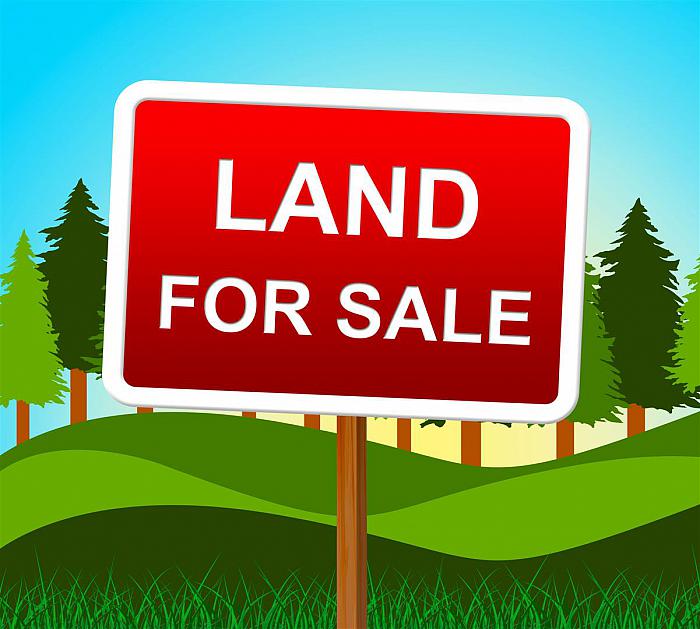 Land Drumnaconagher Road, Crossgar, Downpatrick, BT30 9JQ