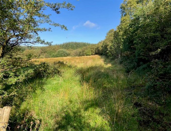 At Temple Road, Garvagh