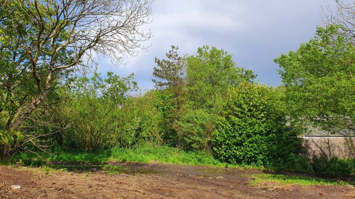 25 Metres North West Of 67 Moycraig Road, Bushmills, Ballycastle, BT57 8YB